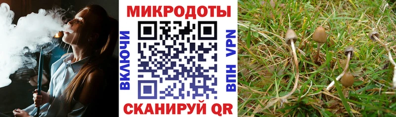 Галлюциногенные грибы прущие грибы  Княгинино 